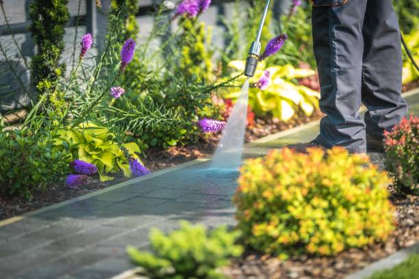 Best Winterizing Services  in St Robert, MO