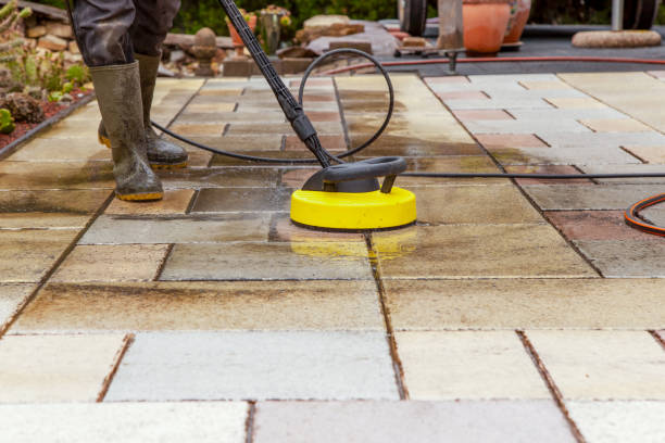 Best Solar Panel Cleaning  in St Robert, MO